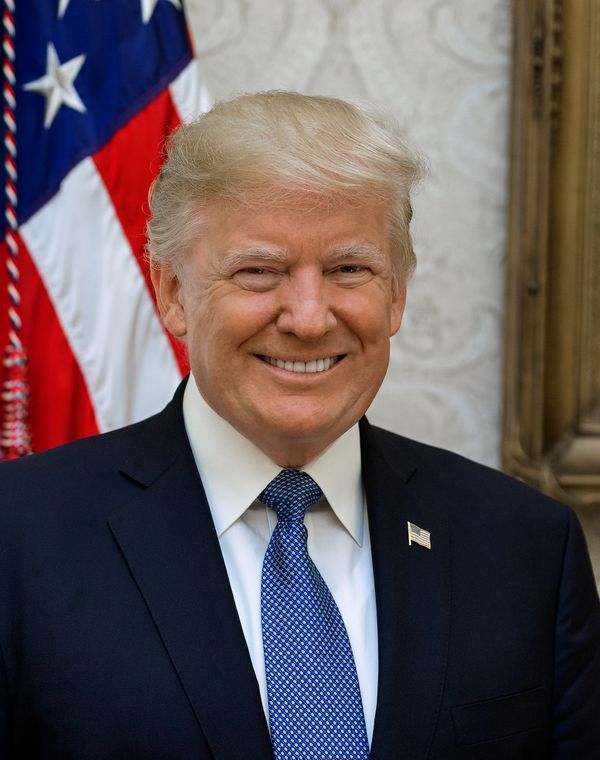 Official portrait of Donald J. Trump